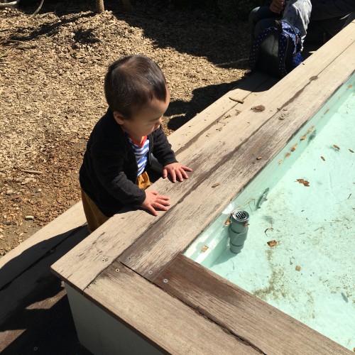 たくさんの親子連れで賑わっていた「あそびば」。水遊びが出来るプールもありました。