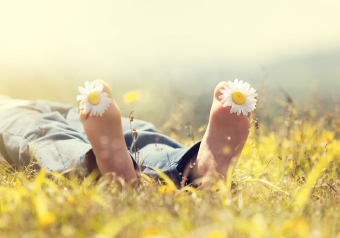 Child with daisy between toes lying in meadow relaxing in summer sunshine