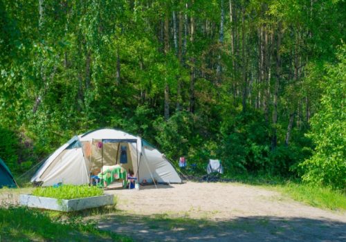 Campground in summer forest in Russia