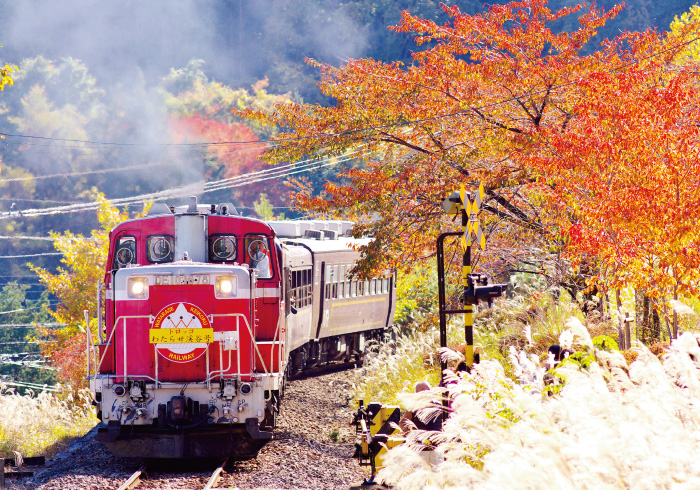 電車好きキッズ大興奮! 特別な列車で行く秋の遠足