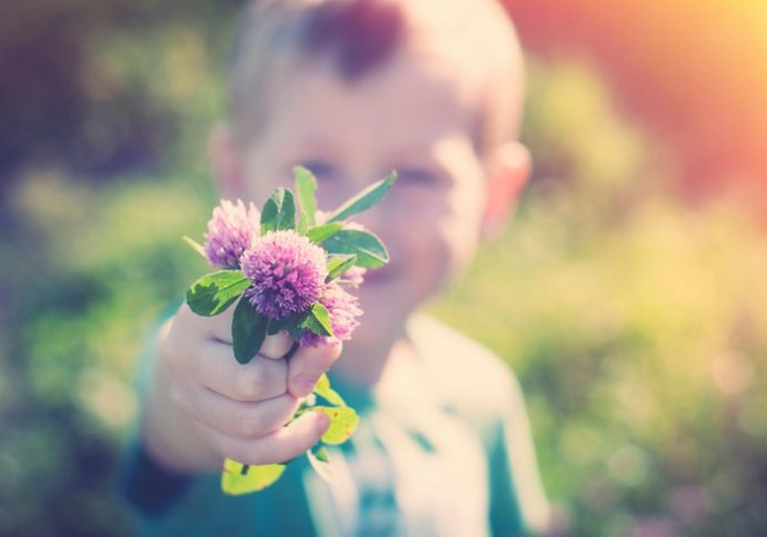 Son gives mom a bunch of purple clover
