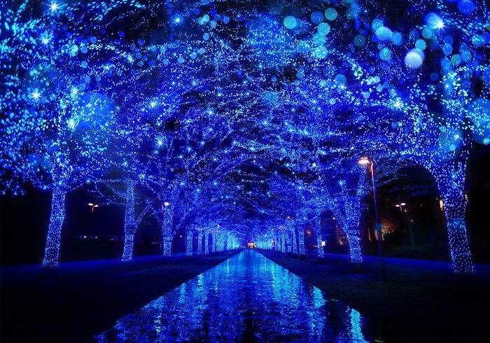 渋谷の街を青く彩る、幻想的なイルミネーション