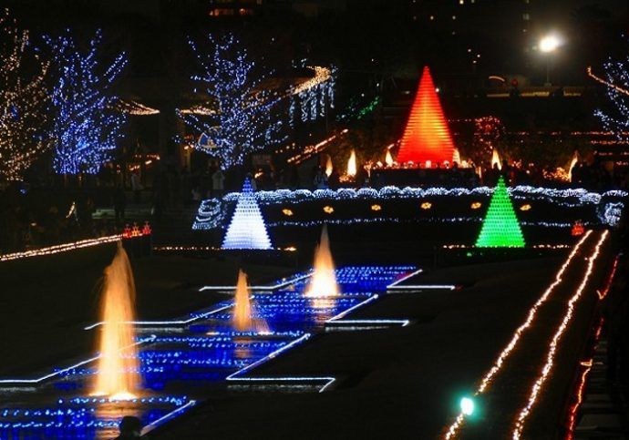 広大な公園のイルミネーション 冬の花火も おでかけニュース スペシャル トピックス Hanako ママ Web