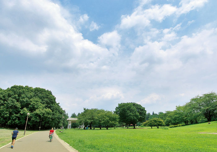 ピクニックが気持ちいい 子連れの定番 広大な芝生がある公園 保存版 パパと行くから楽しい公園 7 トピックス Hanako ママ Web