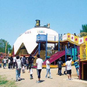 大型遊具 Hanako ママ Web