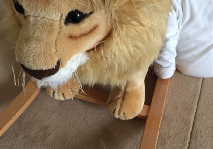 パリっ子の2歳男児が夢中になっているおもちゃを公開!