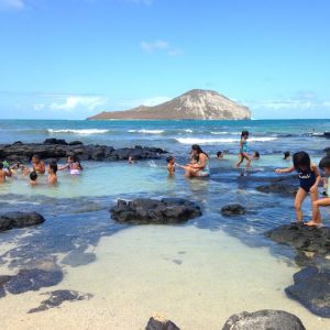 <span>Dayz with 3 KEIKI</span> 赤ちゃんから大人まで。誰もが遊べるハワイの超ローカルビーチ
