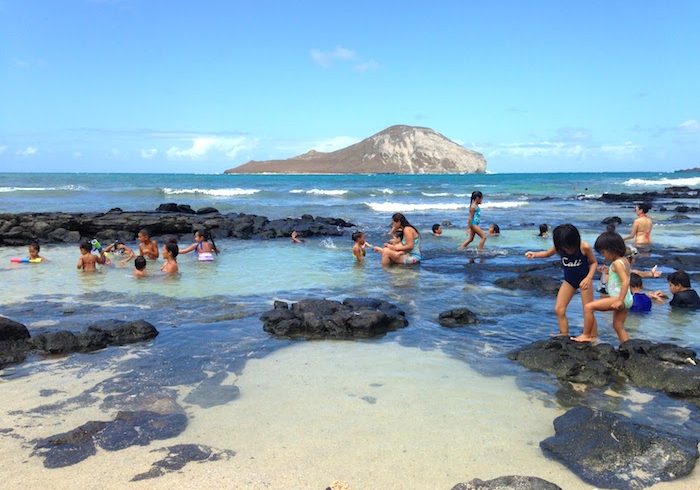 赤ちゃんから大人まで。誰もが遊べるハワイの超ローカルビーチ