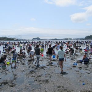 <span>おでかけニュース【神奈川】</span> 駅から近い好アクセス。横浜・海の公園の潮干狩り