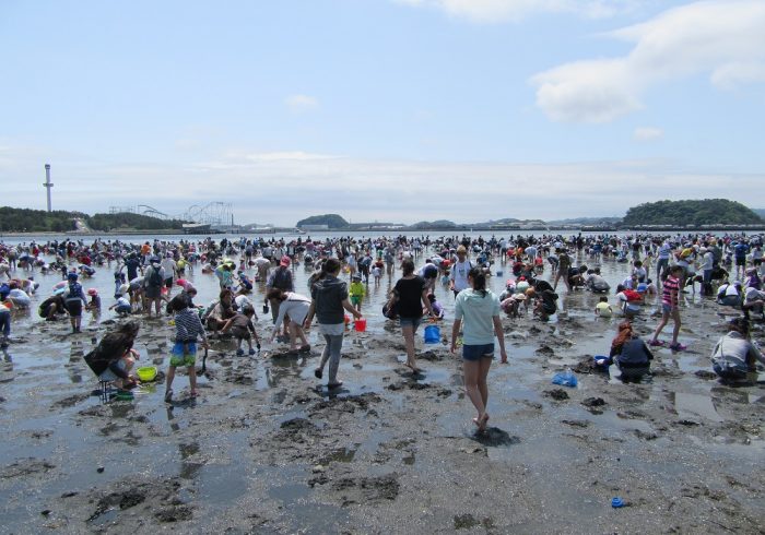 駅から近い好アクセス。横浜・海の公園の潮干狩り