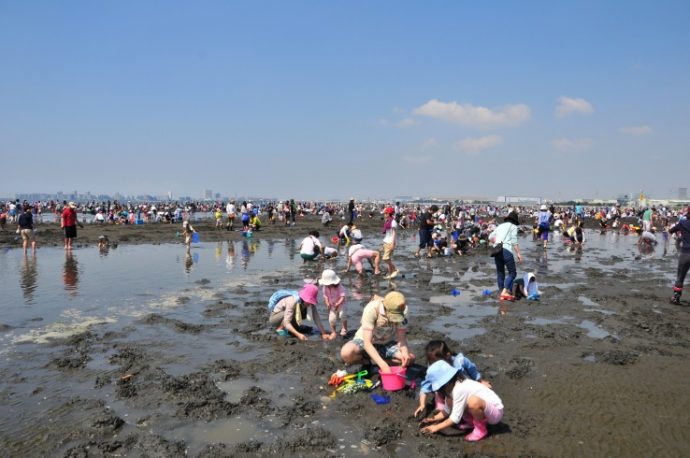 webふなばし三番瀬海浜公園潮干狩り
