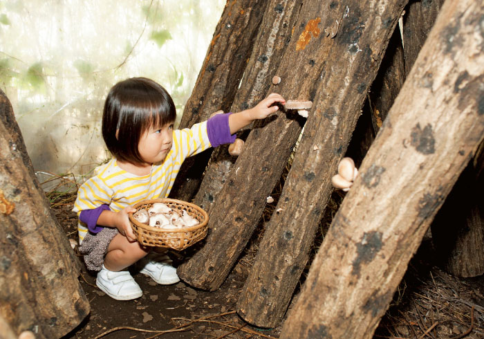 この秋体験したい、きのこ狩り&こんにゃく作り【秋の親子遠足特集】
