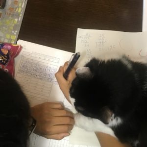 maruIMG-3211