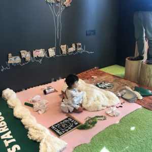 IMG-3517