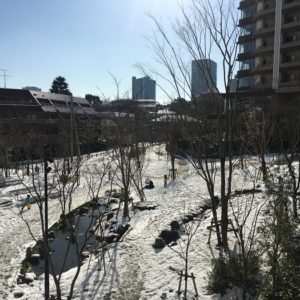 IMG-3538