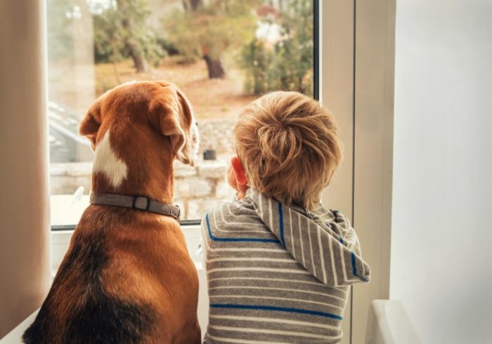 留守番させるなら。知っておきたい防犯アイテムと、子どもに教えておきたいこと