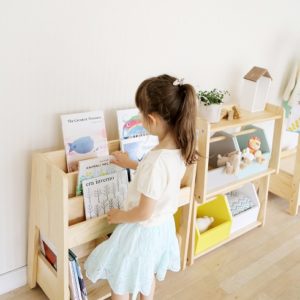 norsta_book_image1