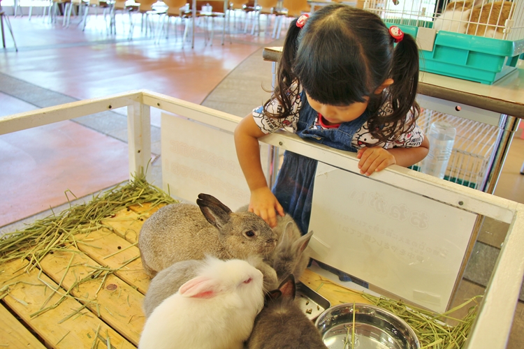 イヌやウサギ メンフクロウにもタッチできる ズーラシア 秋のふれあい動物園 おでかけニュース 神奈川 トピックス Hanako ママ Web