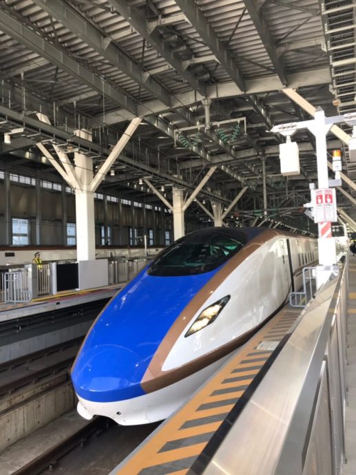 toyookamasumi1130-5