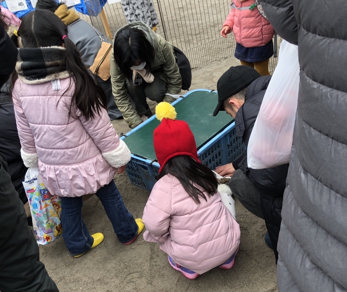 うさぎの気持ちになってみたら 娘がとった マザーズコーチング的な行動 とは バタ子ママの コーチング子育て 働くママの子育てブログ Hanako ママ Web