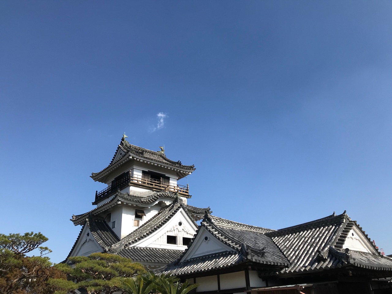 晴天の高知城。