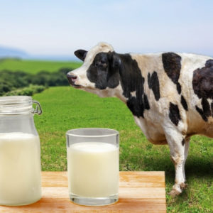 毎日牛乳をモ～1杯。プラスワンプロジェクトに参加しよう！牛乳をたっぷり使うレシピ3選