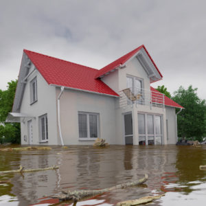 3d render of a flooding white house - force of nature