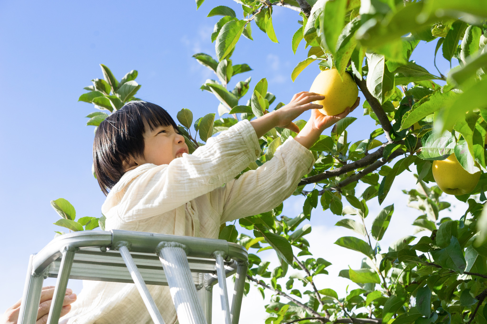 本物を見ることの大切さ Step And A Step 500gで生まれた赤ちゃん Hanako ママ Web