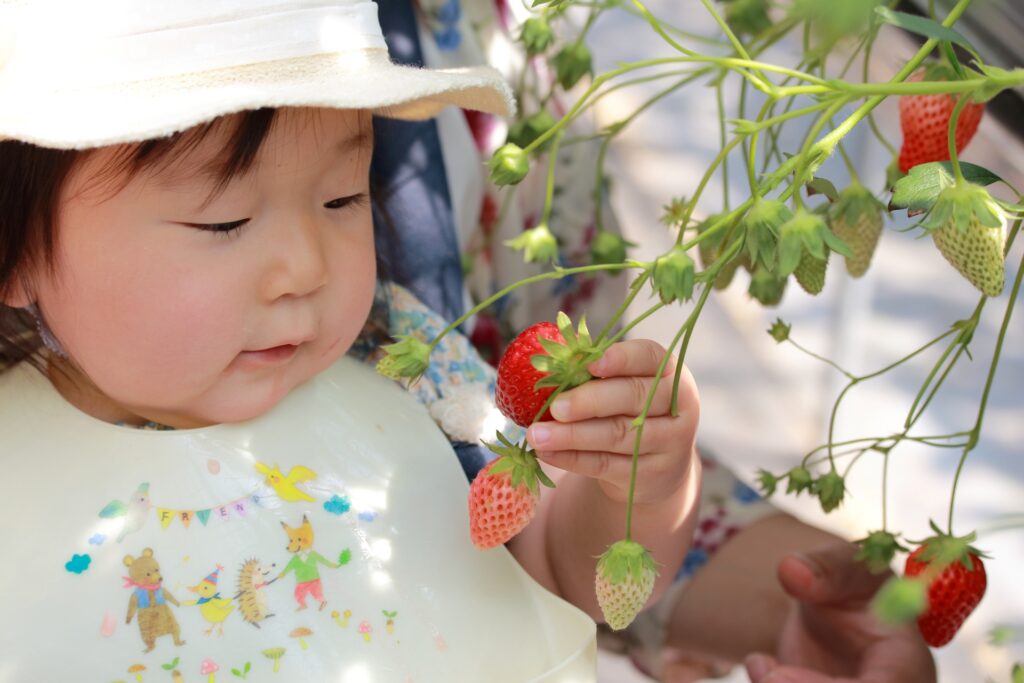 子供の食の悩みで多い 好き嫌い うまく対応する方法はある 子育て Hanako ママ Web