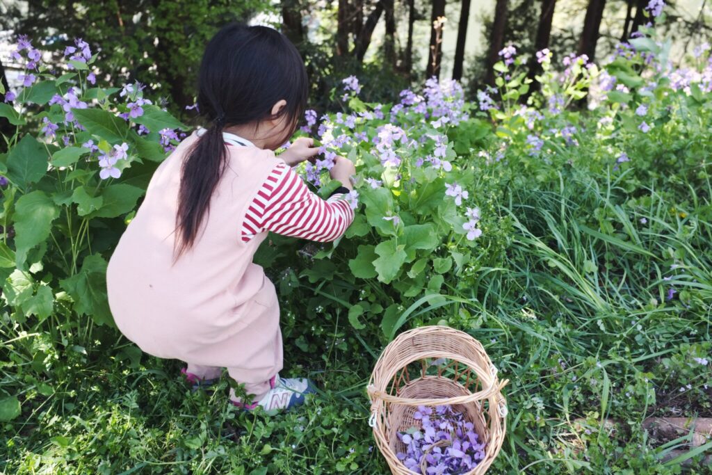 春の花の砂糖漬け 親子ではじめるエシカル暮らし 29 Sdgs Hanako ママ Web