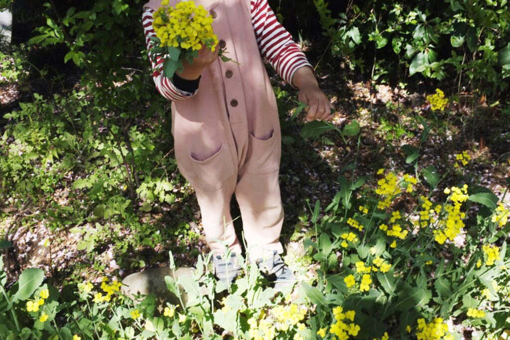 春の花の砂糖漬け 親子ではじめるエシカル暮らし 29 Sdgs Hanako ママ Web