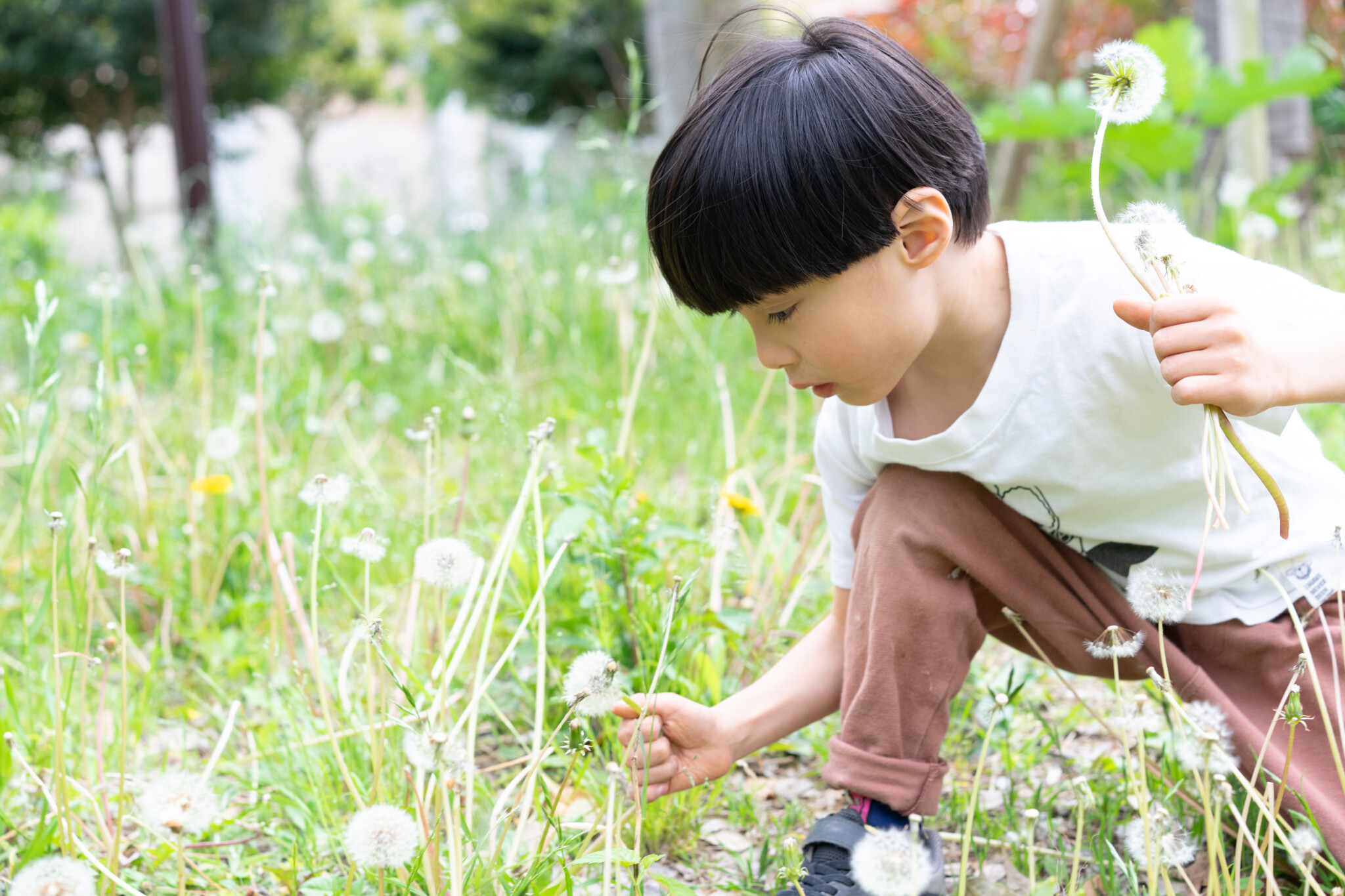 うんこー と叫ぶお年頃です Step And A Step 500gで生まれた赤ちゃん Hanako ママ Web