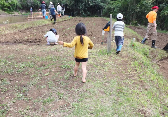 お米作りで出会った「田んぼの神様」【親子ではじめるエシカル暮らし・32】