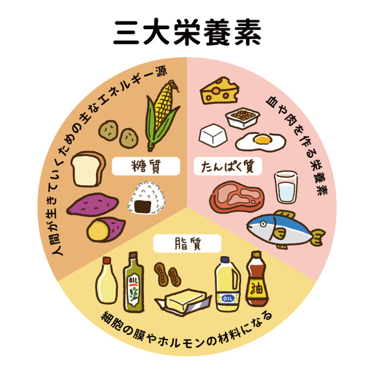 糖質制限の正しいやり方は 糖質制限ができるレシピも紹介 ライフスタイル Hanako ママ Web