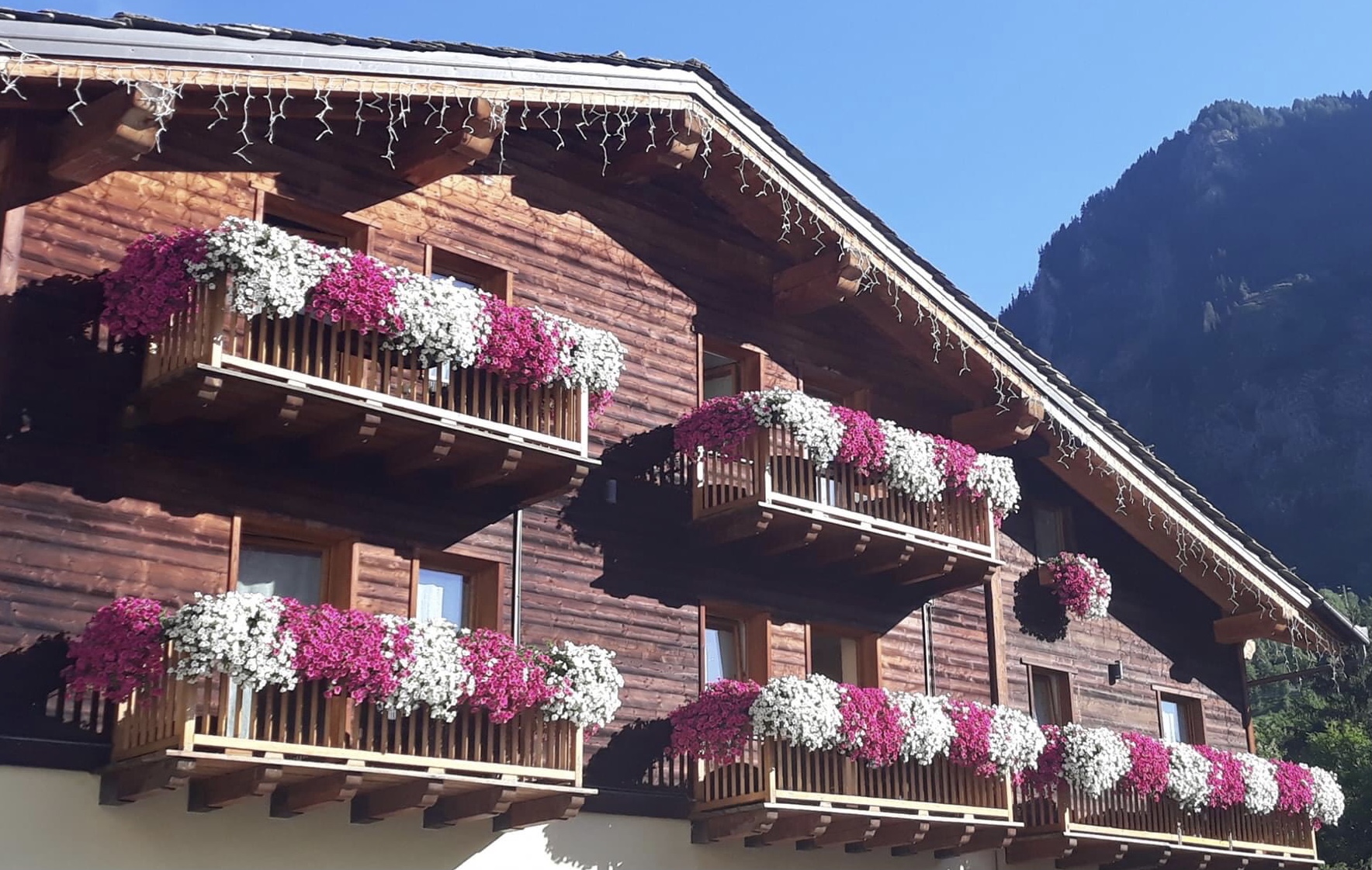 フランスからの報告 フランスの家の窓辺はどうしてきれいなの ライフスタイル Hanako ママ Web