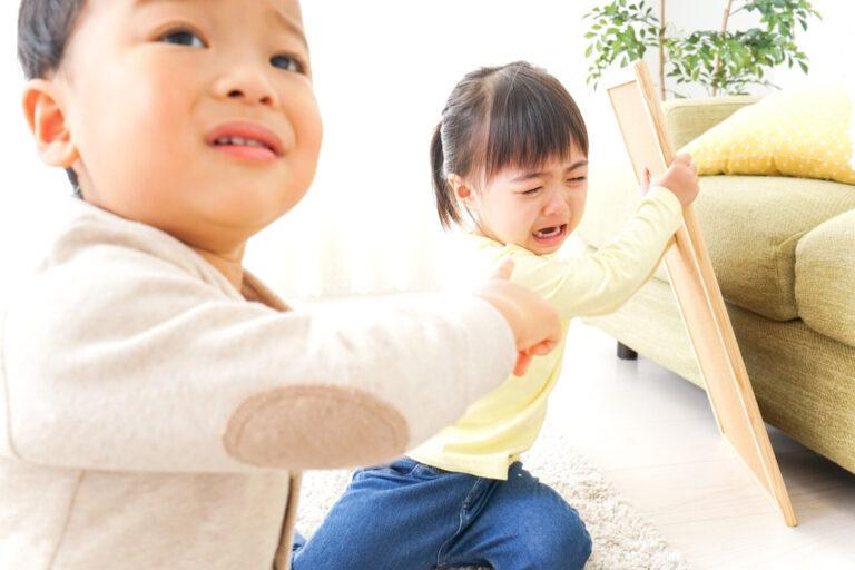 ひとつのおもちゃを奪い合って激しく泣く子どもと誰かに訴える子ども