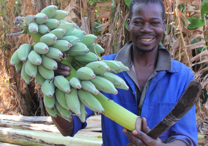 人気急騰！ ザンビアのオーガニックバナナから生まれた「バナナペーパー」【マイエシカルでいこう。　13】